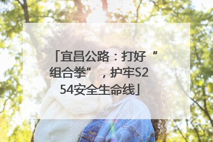 宜昌公路：打好“组合拳”，护牢S254安全生命线